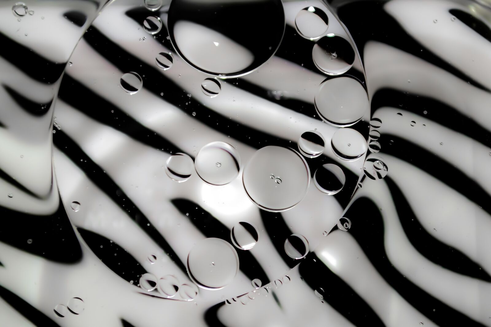 Nikon D3100 sample photo. Abstract, black white, oil photography