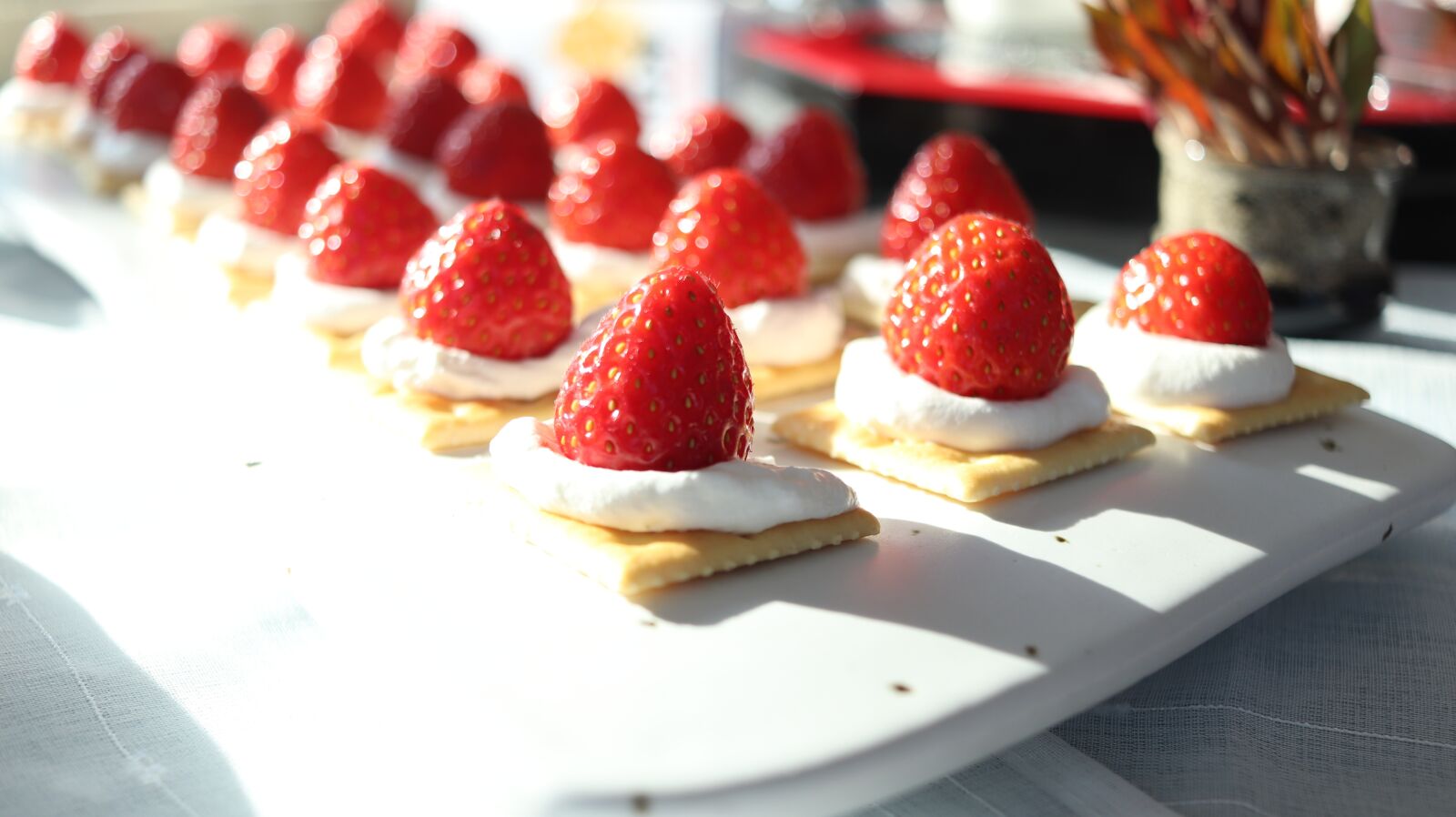 Canon EF-S 24mm F2.8 STM sample photo. Strawberry, confectionery, delicious photography
