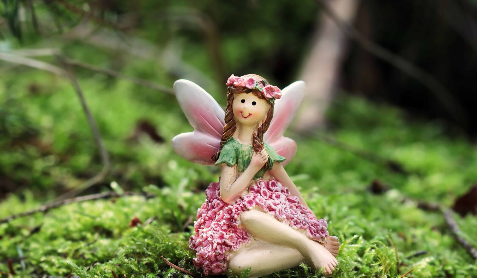 Canon EOS 80D sample photo. Toy, doll, girl, wing photography