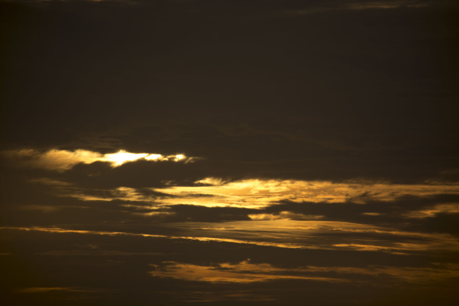Nikon D7100 sample photo