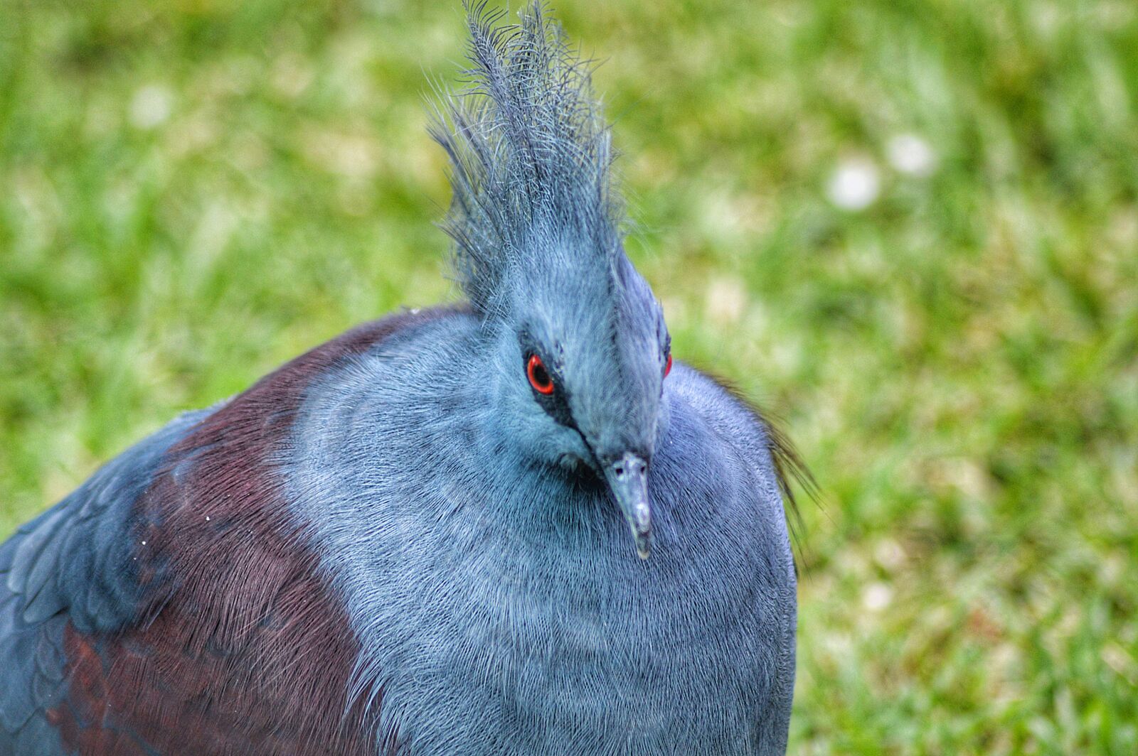 Nikon D3200 sample photo. Bird, nature, animal photography