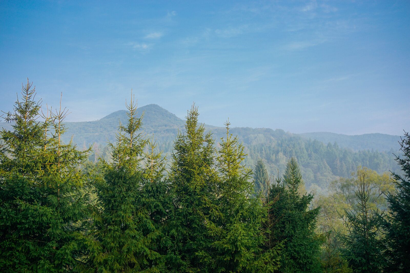 Sony a6000 sample photo. Mountains, tree, spruce photography
