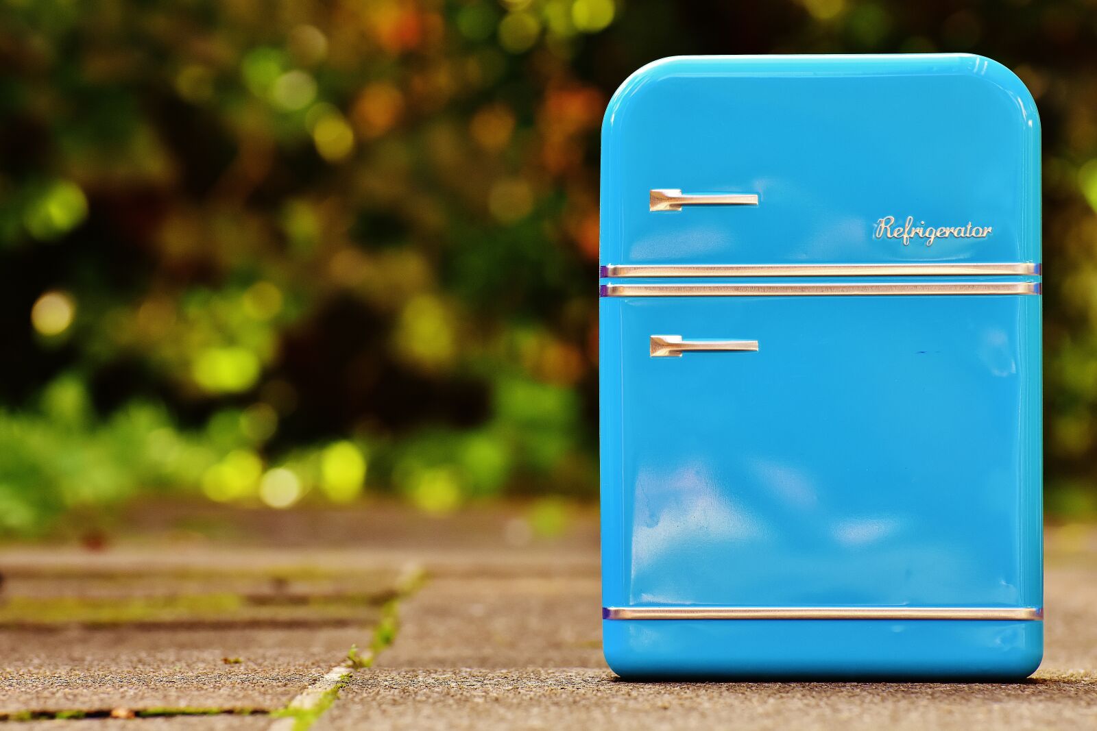 Nikon D7200 sample photo. Refrigerator, box, cookie jar photography