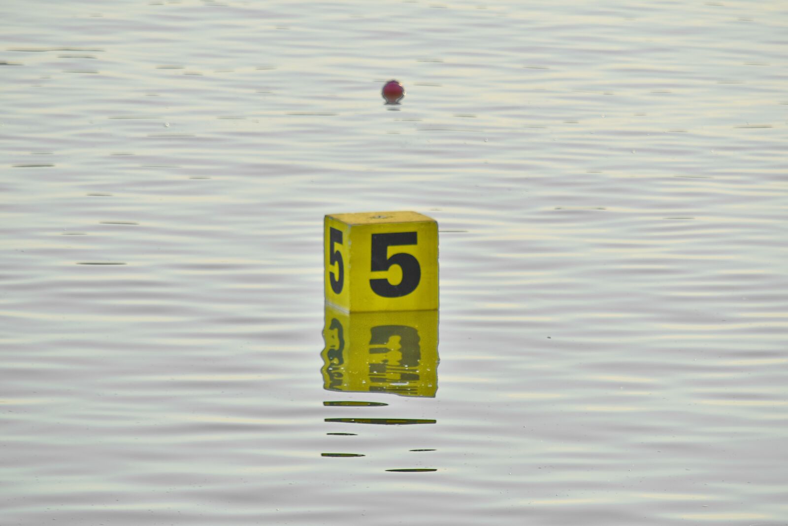 Nikon D5500 sample photo. Box, floating, number, water photography
