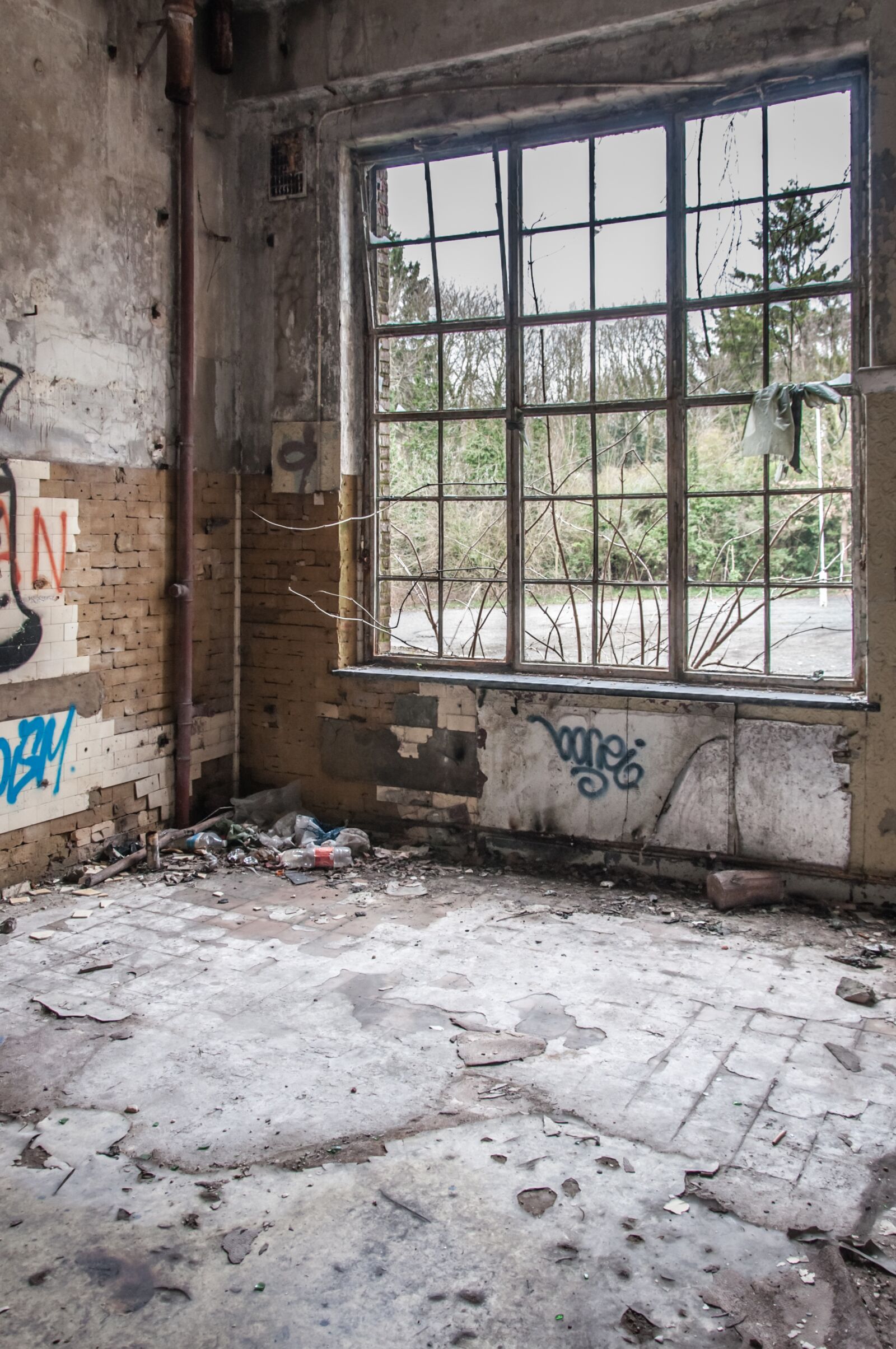 Nikon D90 sample photo. Background, building, leave photography