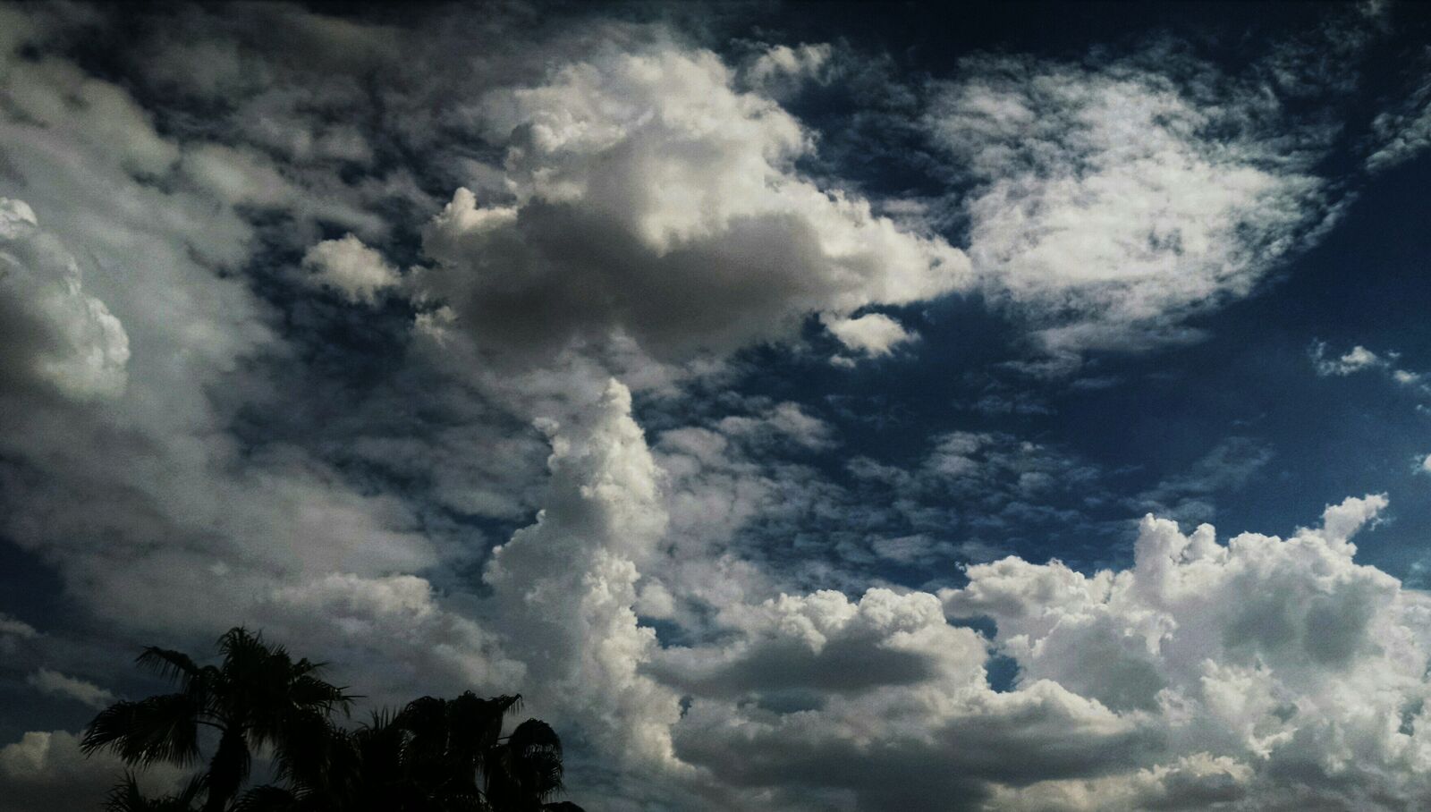 Motorola Moto X (1st Gen) sample photo. Sky, clouds, palm tree photography