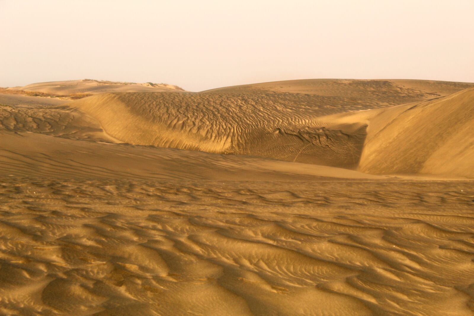 Canon EOS 1300D (EOS Rebel T6 / EOS Kiss X80) sample photo. Dry weather, desert, dune photography
