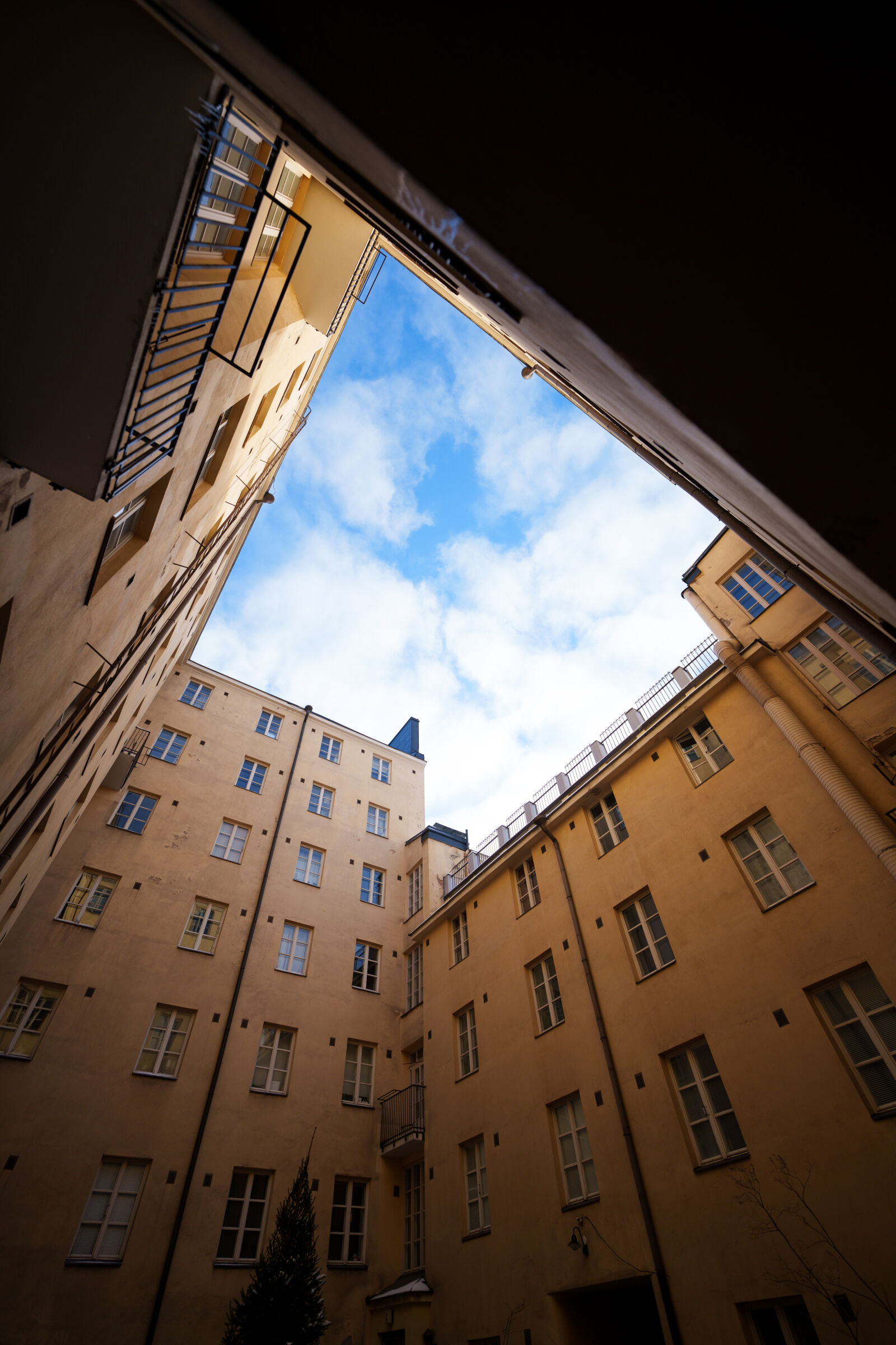 Sigma 14mm F1.4 DG DN sample photo. View to sky photography