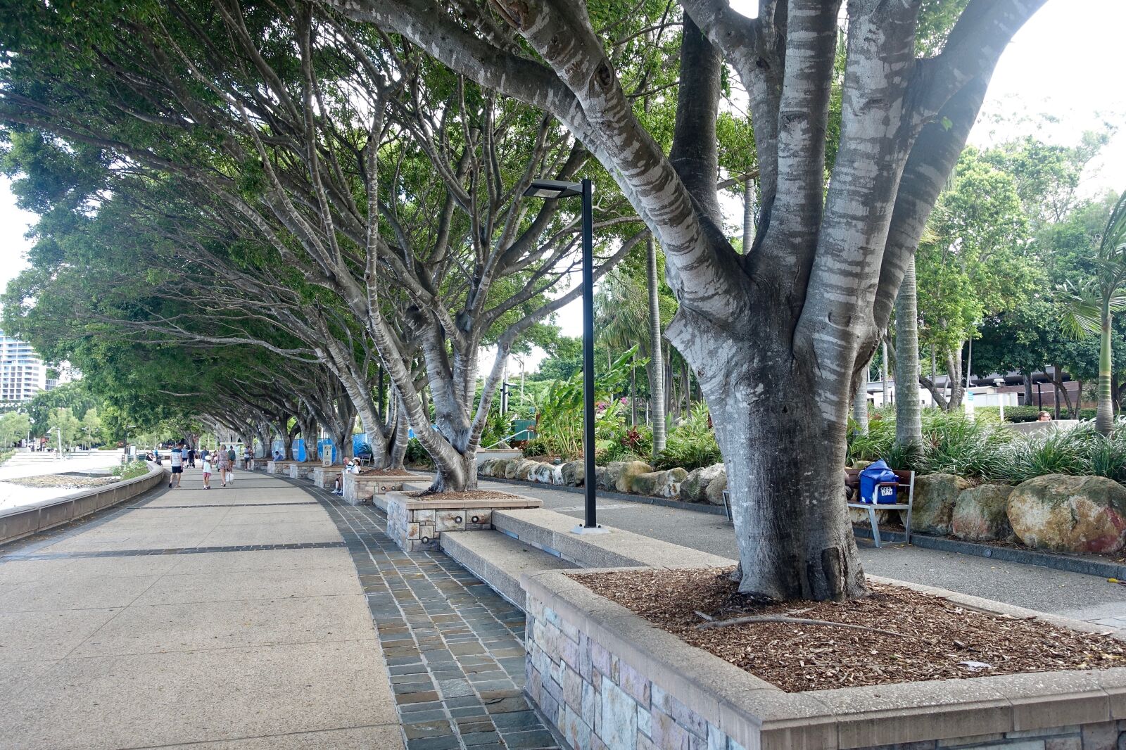Sony Cyber-shot DSC-RX100 III sample photo. Trees, shade, line photography