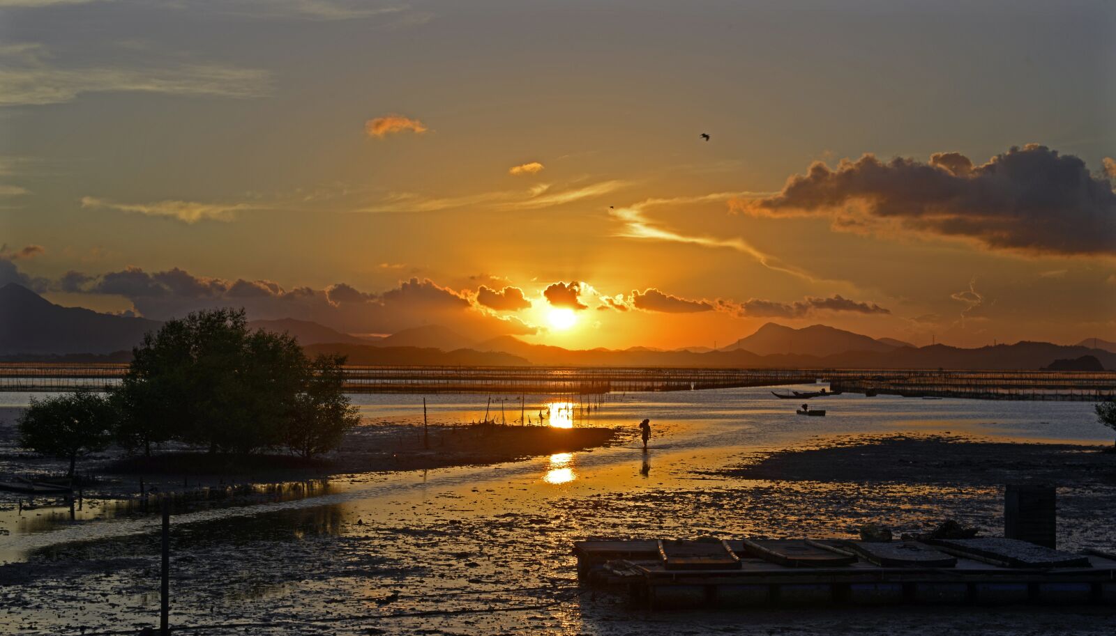 Nikon D800 sample photo. Sunset, yanzhoudao, shoals photography