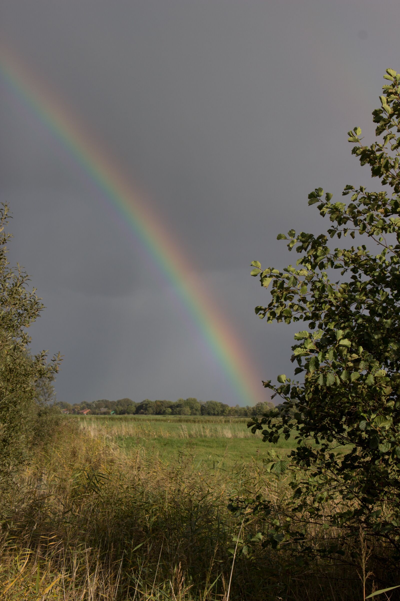 Canon EOS 600D (Rebel EOS T3i / EOS Kiss X5) sample photo. Rainbow, rain, weather photography