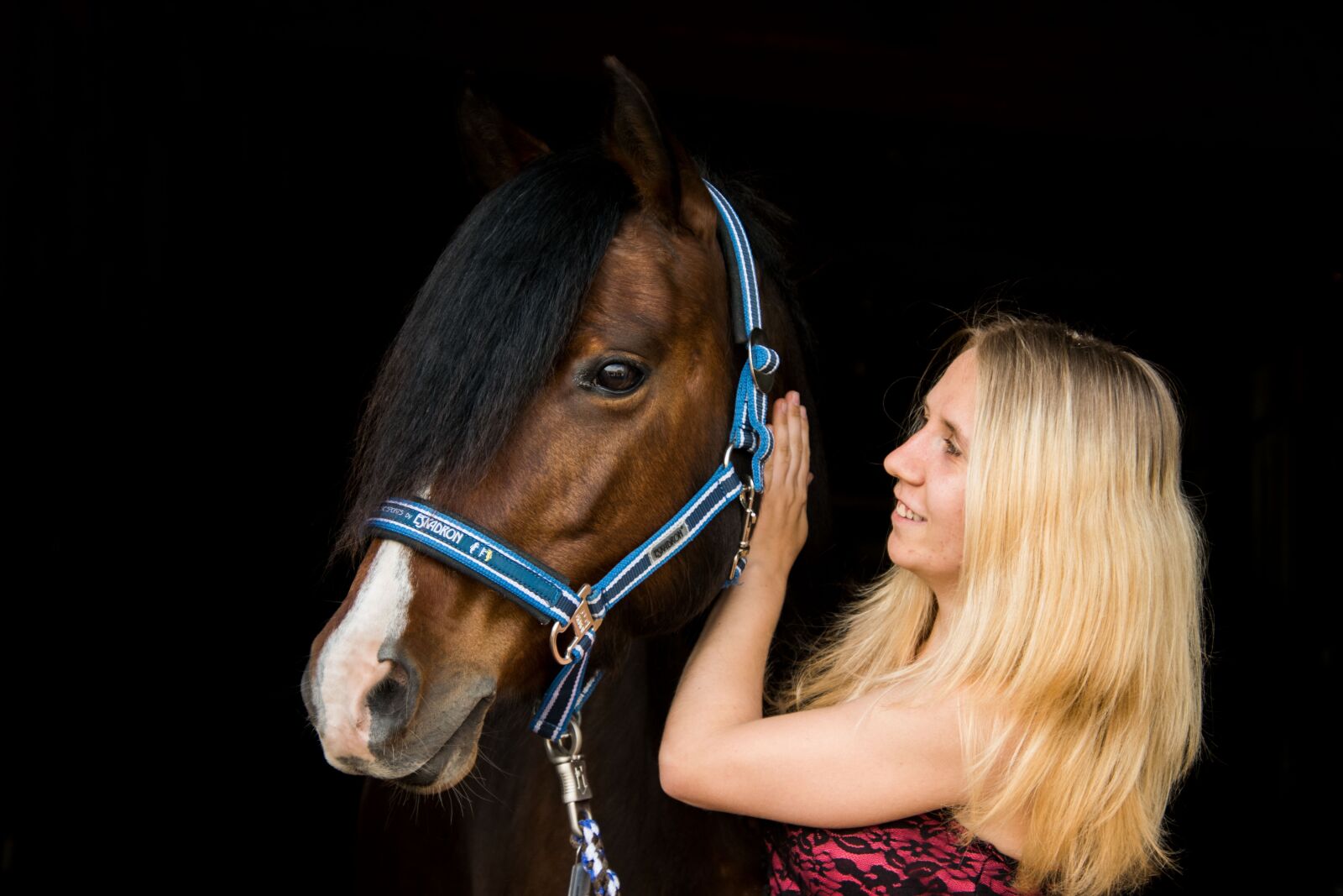 Nikon D3300 sample photo. Horse, portrait, human photography