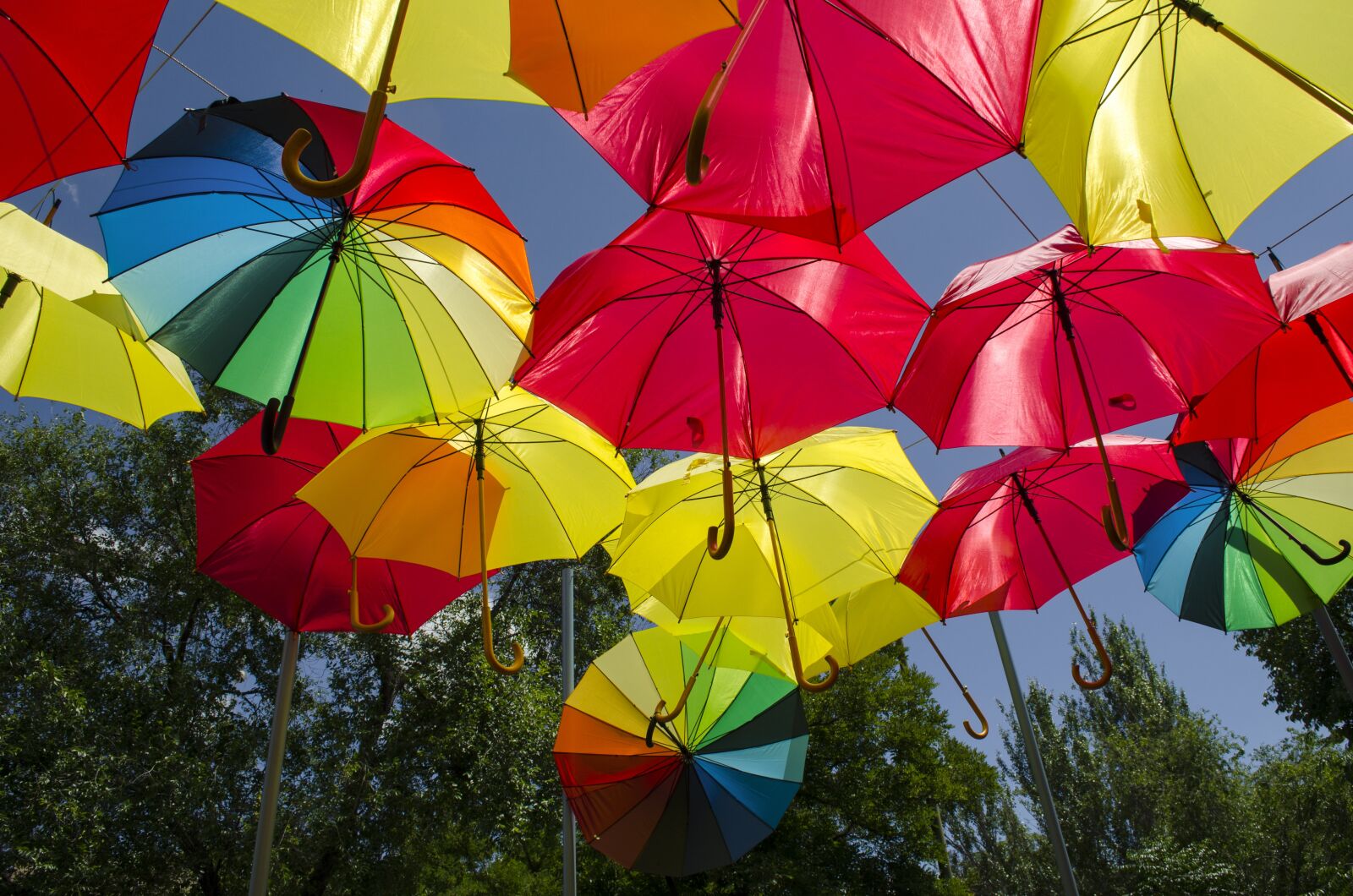 Nikon D5100 sample photo. Umbrella, umbrellas, colors photography