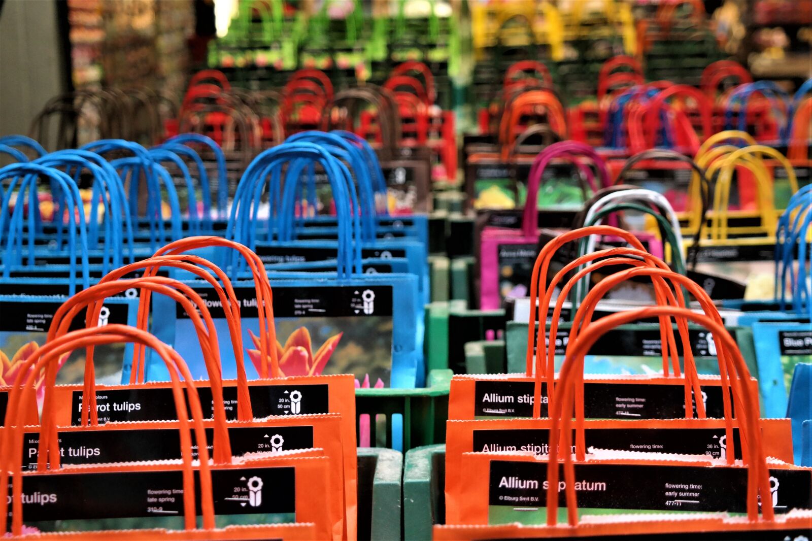 NX 18-55mm F3.5-5.6 sample photo. Hänkel, bags, color photography