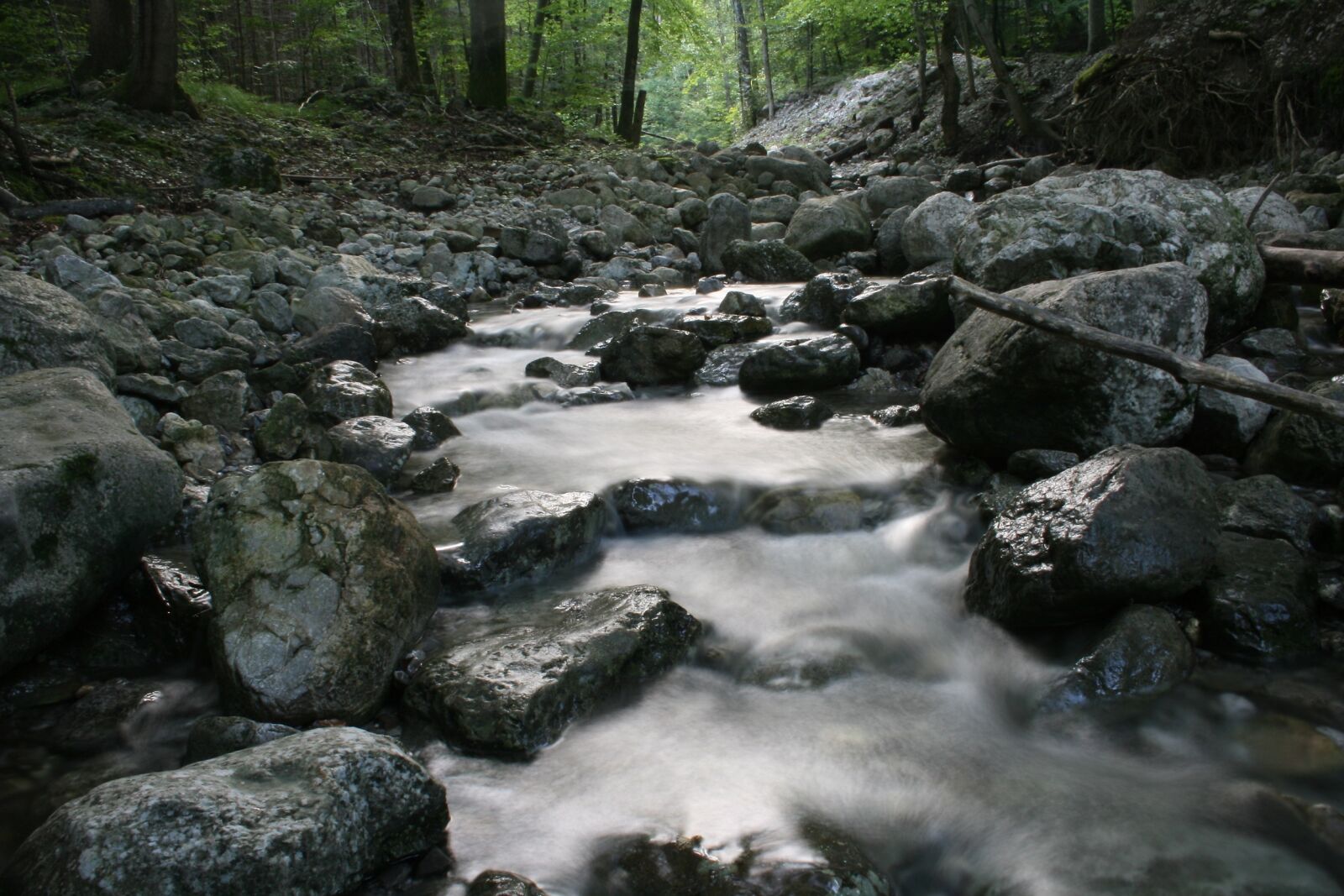 Canon EOS 400D (EOS Digital Rebel XTi / EOS Kiss Digital X) sample photo. Creek, nature, bach photography
