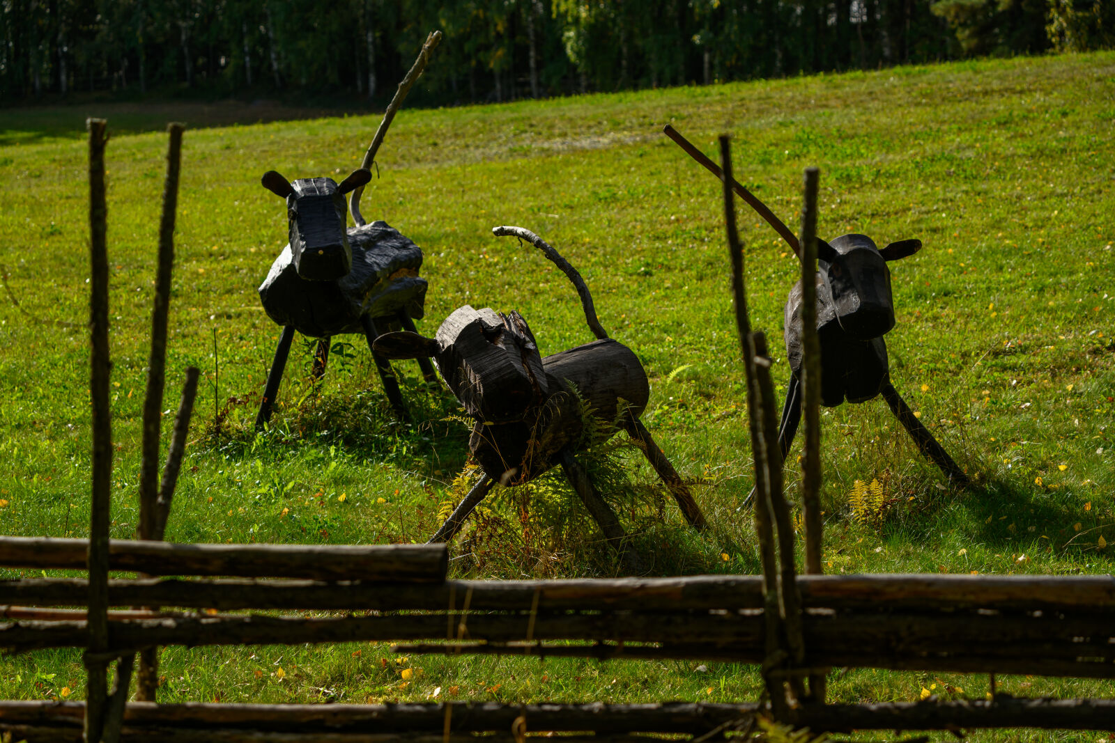 Nikon Z8 sample photo. Wooden cows photography