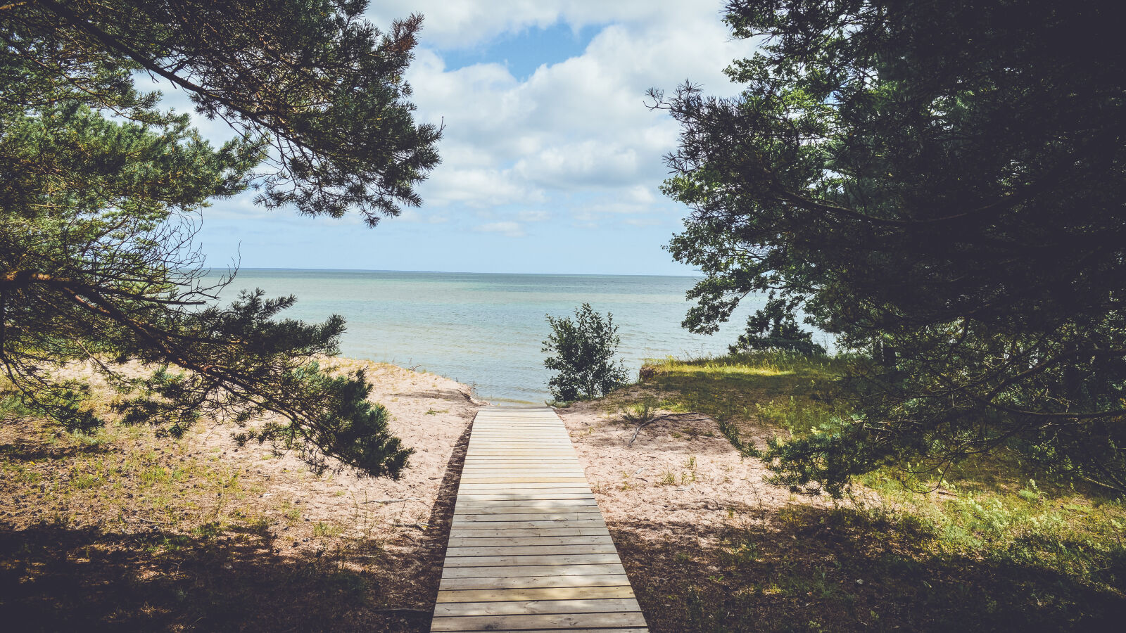 Nikon D3200 sample photo. Beach, beautiful, boardwalk, daylight photography