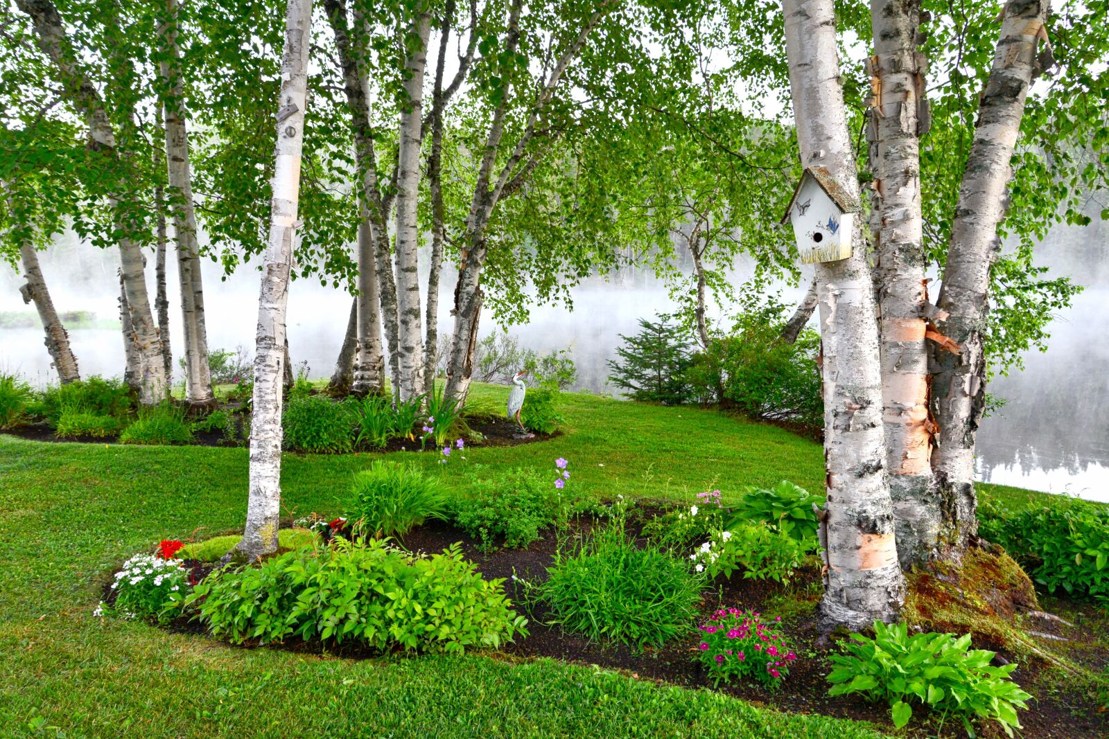 Nikon D610 sample photo. Birch, landscape, nature photography