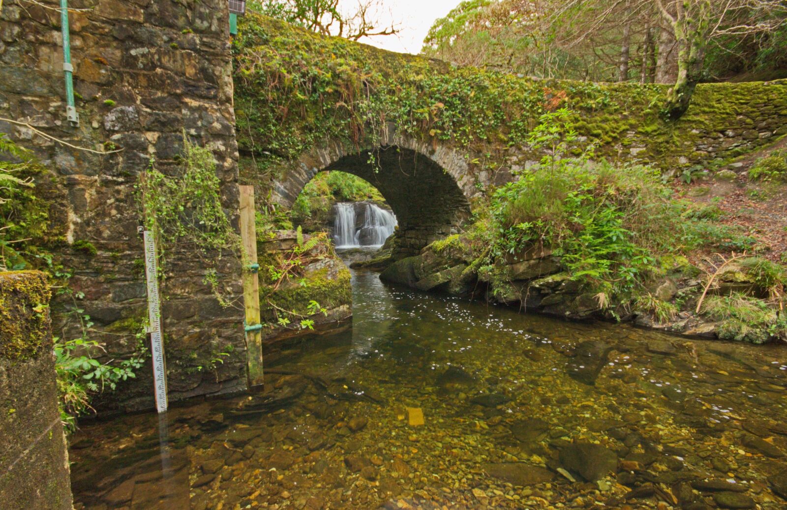 Canon EOS 600D (Rebel EOS T3i / EOS Kiss X5) sample photo. Killarney, water, kerry photography