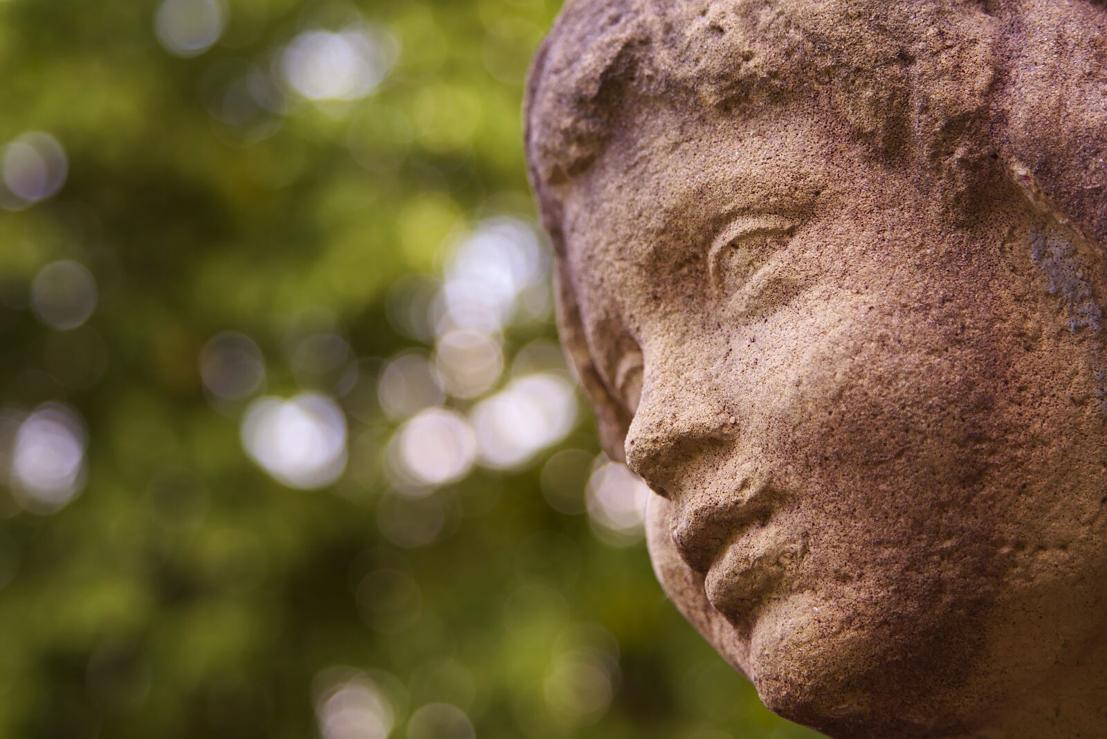 Canon EOS 6D + Canon EF 24-105mm F4L IS USM sample photo. Cherub, green, park photography
