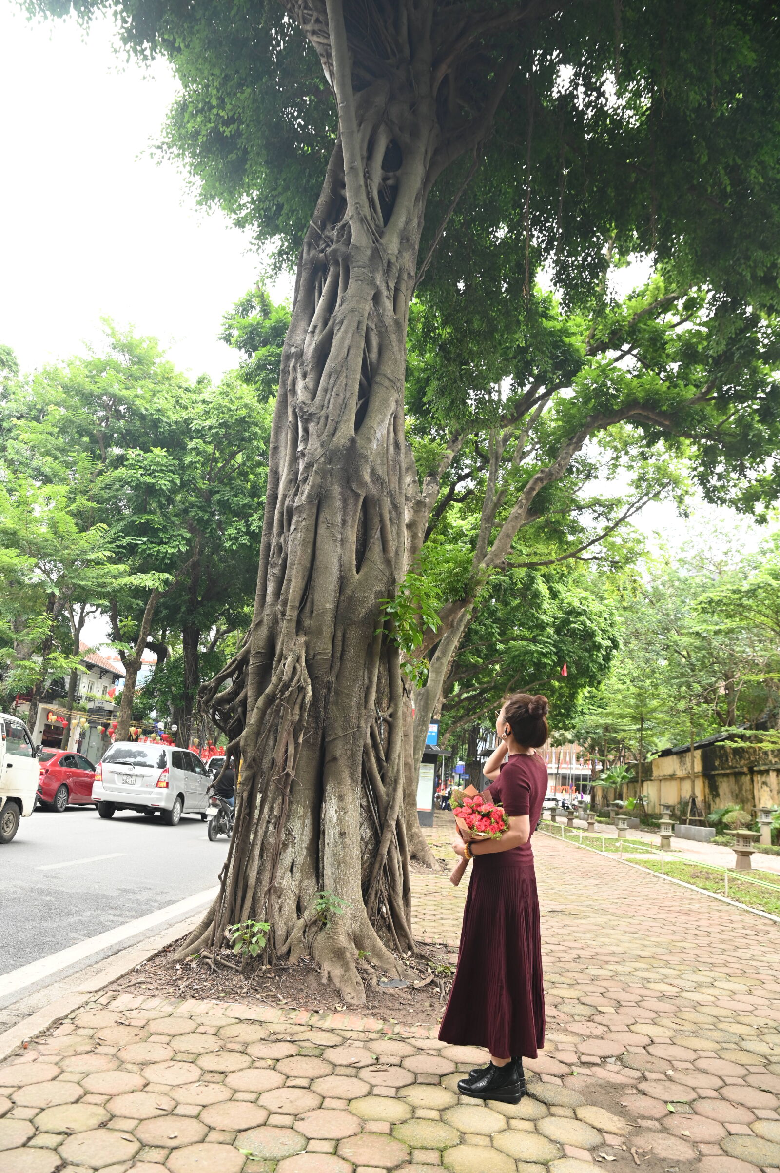 Nikon D780 sample photo