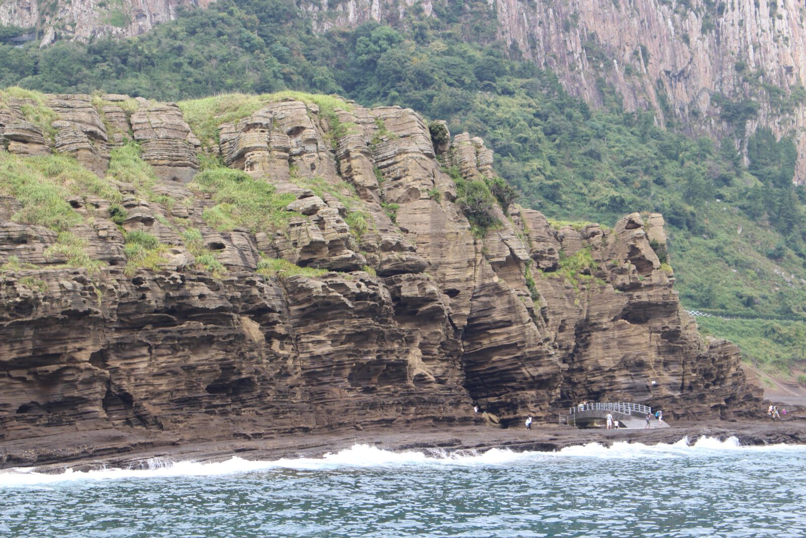 Canon EOS 100D (EOS Rebel SL1 / EOS Kiss X7) sample photo. Jeju fatty acids, jeju photography