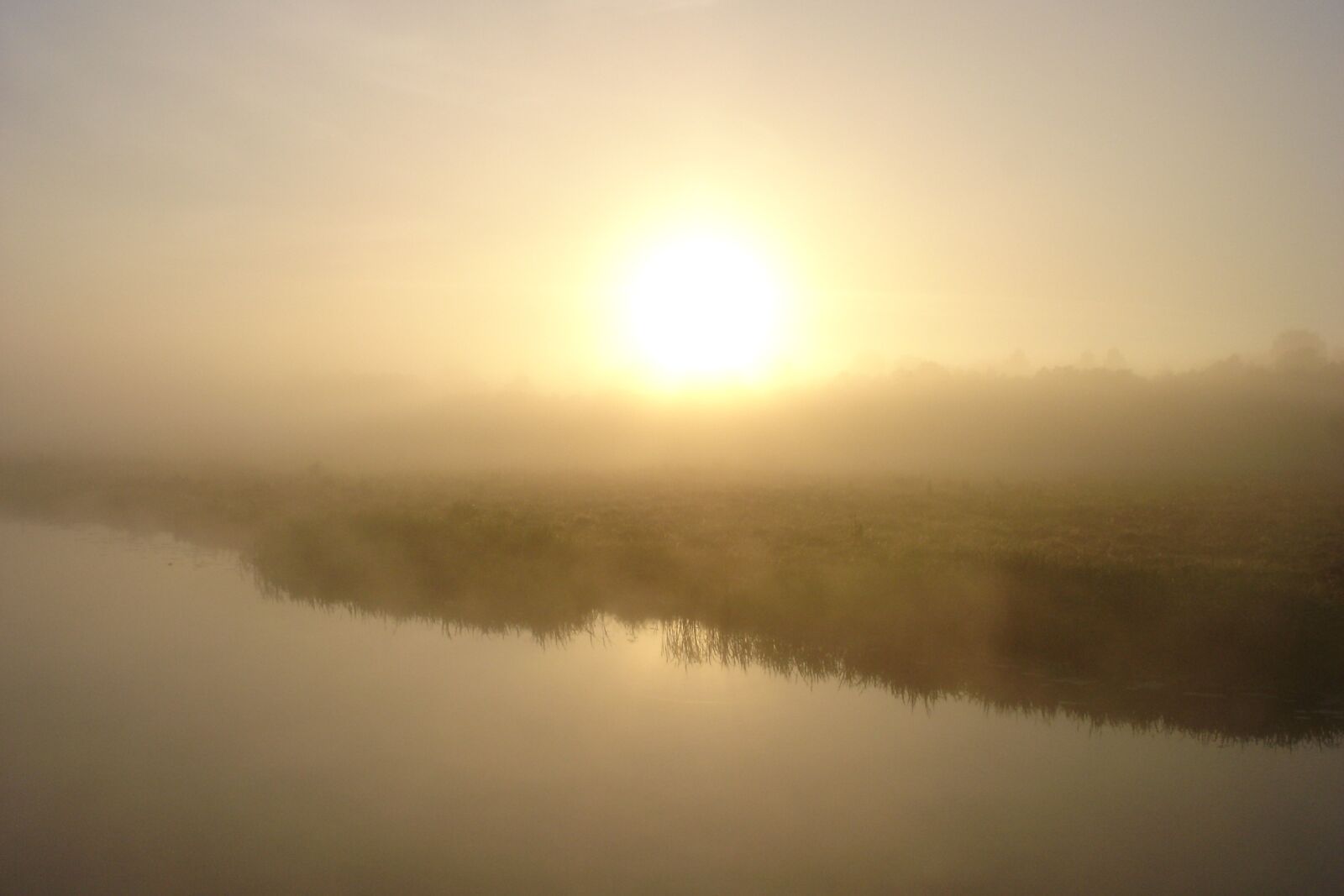 Sony DSC-W1 sample photo. Morning, fog, sun photography