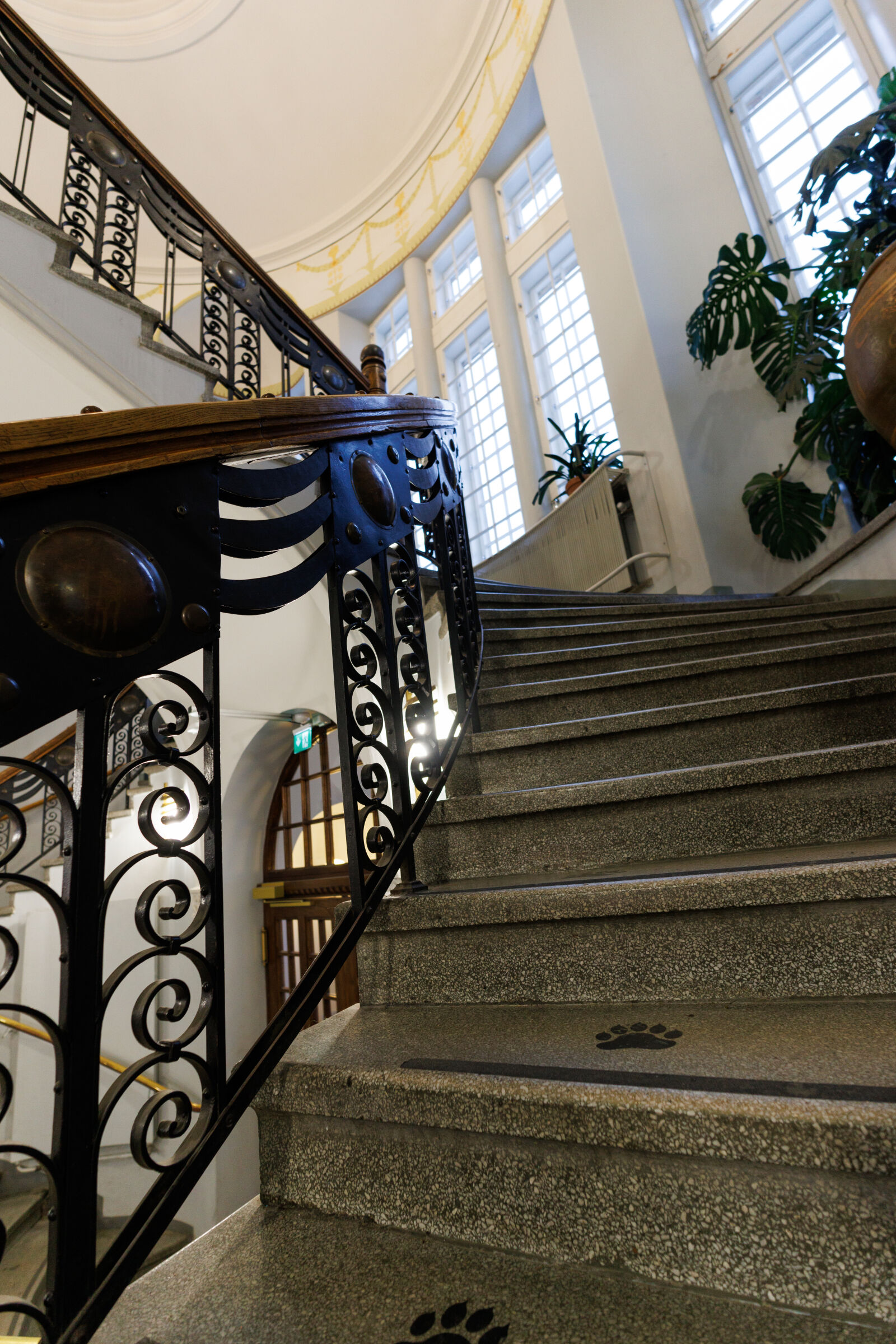 Canon EOS R7 sample photo. Staircase up photography