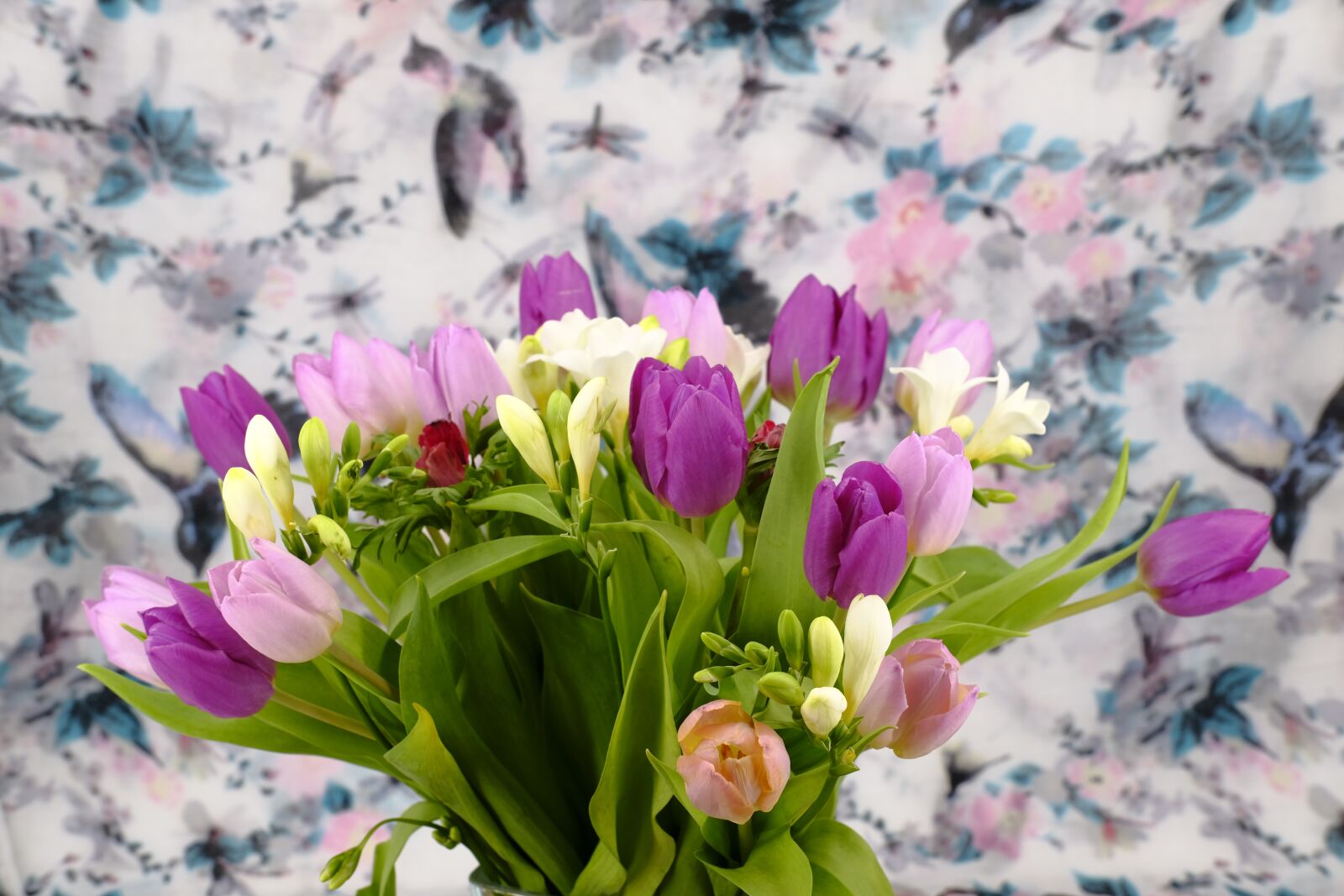 Fujifilm X-T2 + Fujifilm XF 35mm F2 R WR sample photo. Bouquet, flowers, tulips photography