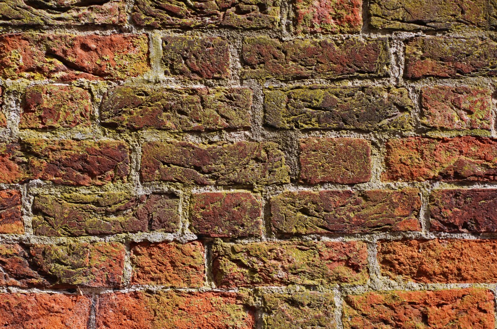 Canon EOS 700D (EOS Rebel T5i / EOS Kiss X7i) sample photo. Nikolai church, brick, historic photography