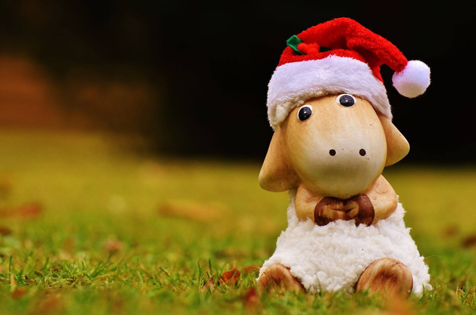 Nikon D7200 sample photo. Christmas, sheep, deco photography