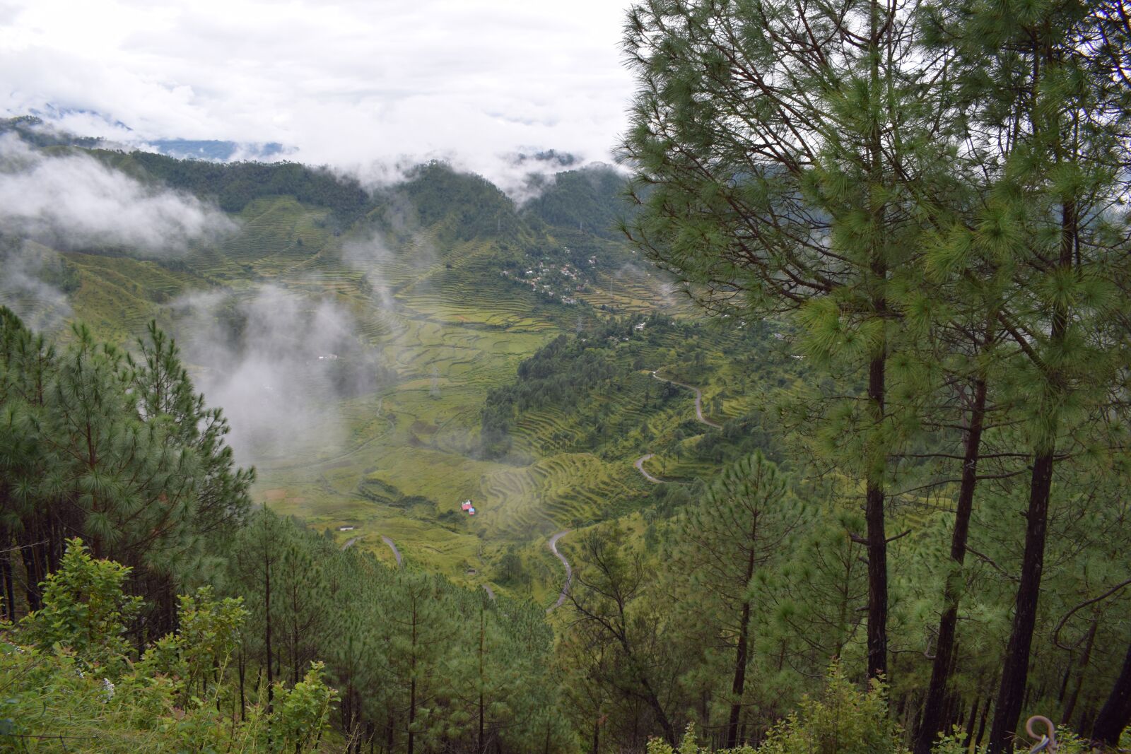 Nikon D5300 sample photo. Clouds, green, valley photography