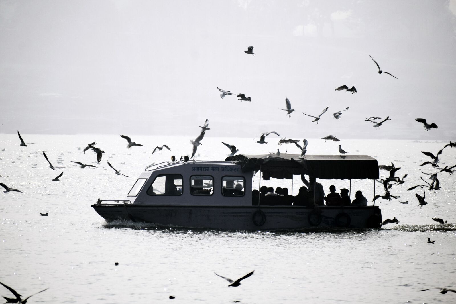 Nikon D3300 sample photo. Boat, seagulls, ganga photography