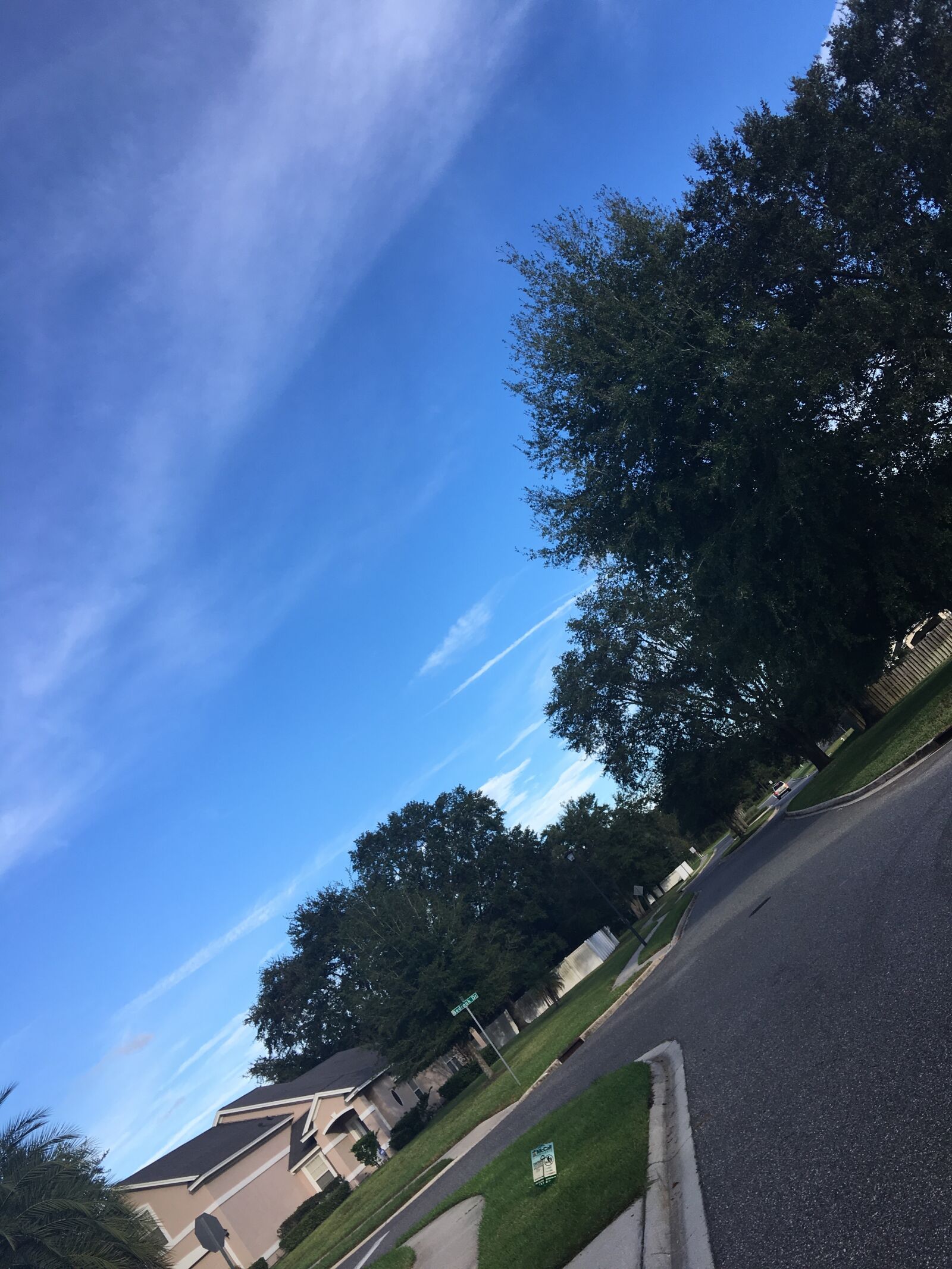 Apple iPhone 6s Plus sample photo