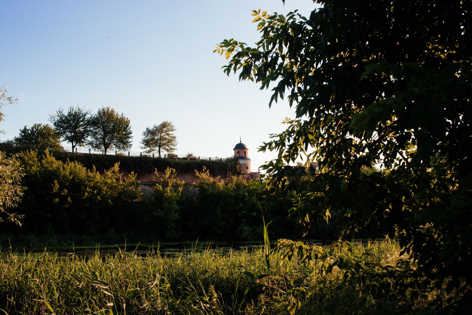 Canon EOS 6D sample photo. Grass, outdoor, sky photography