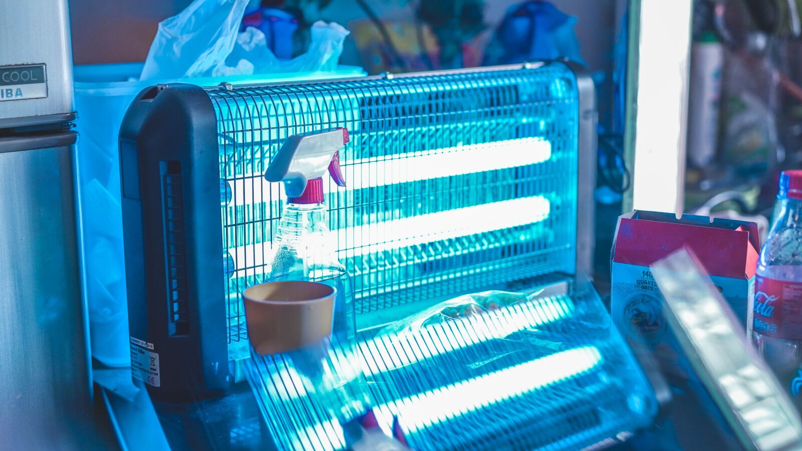 Sony a7 III + Sony Sonnar T* FE 55mm F1.8 ZA sample photo. Glow, lamp, light photography