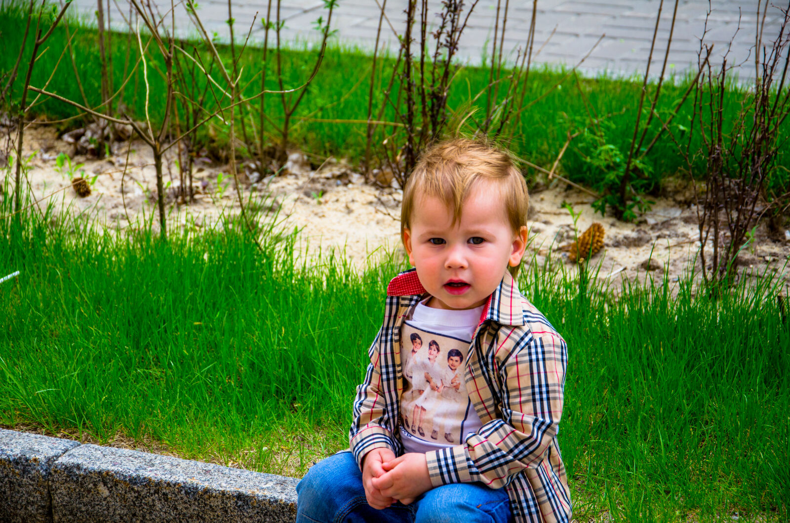 Nikon D5100 sample photo
