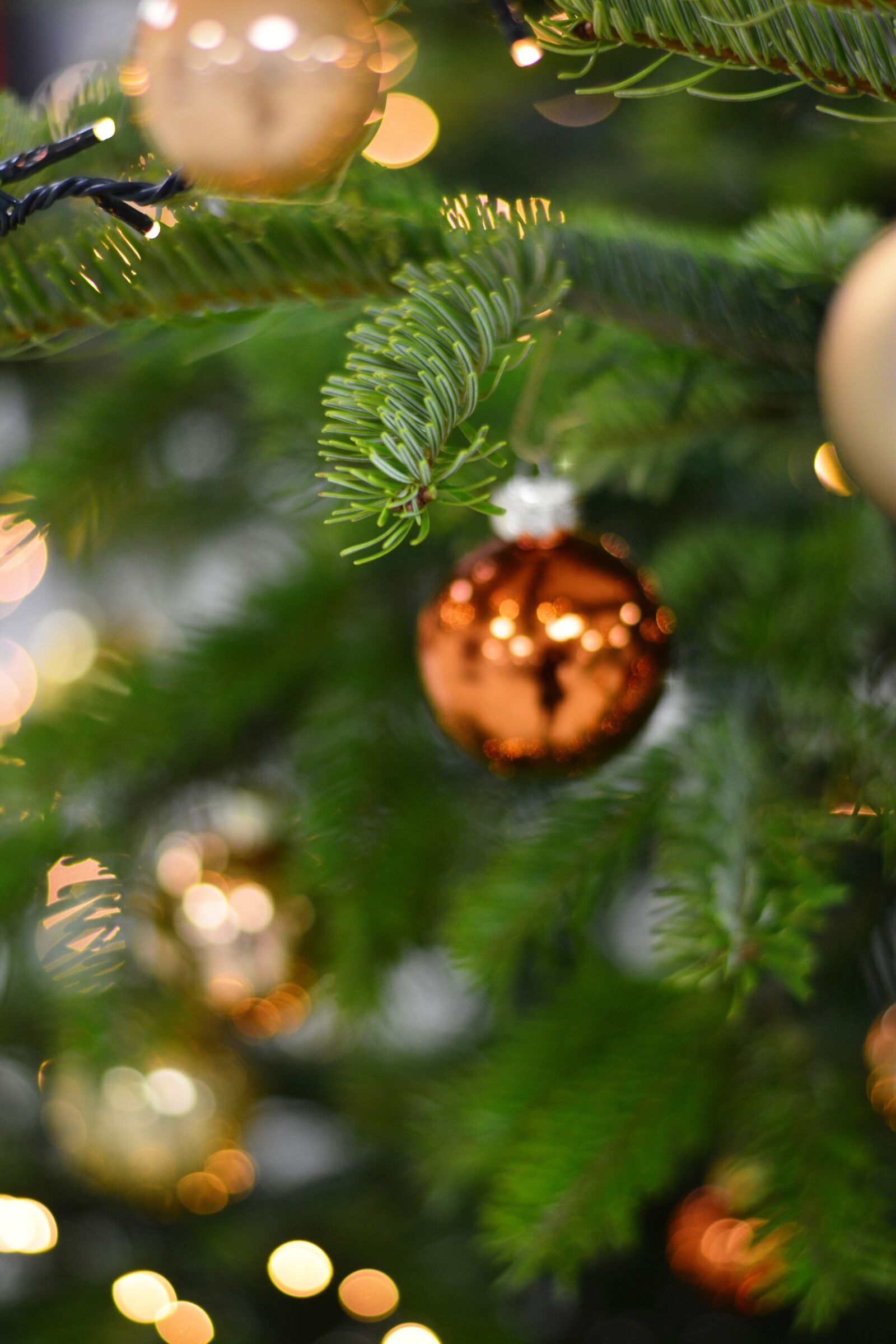 Nikon D5200 sample photo. Christmas ball, christmas, christmas photography