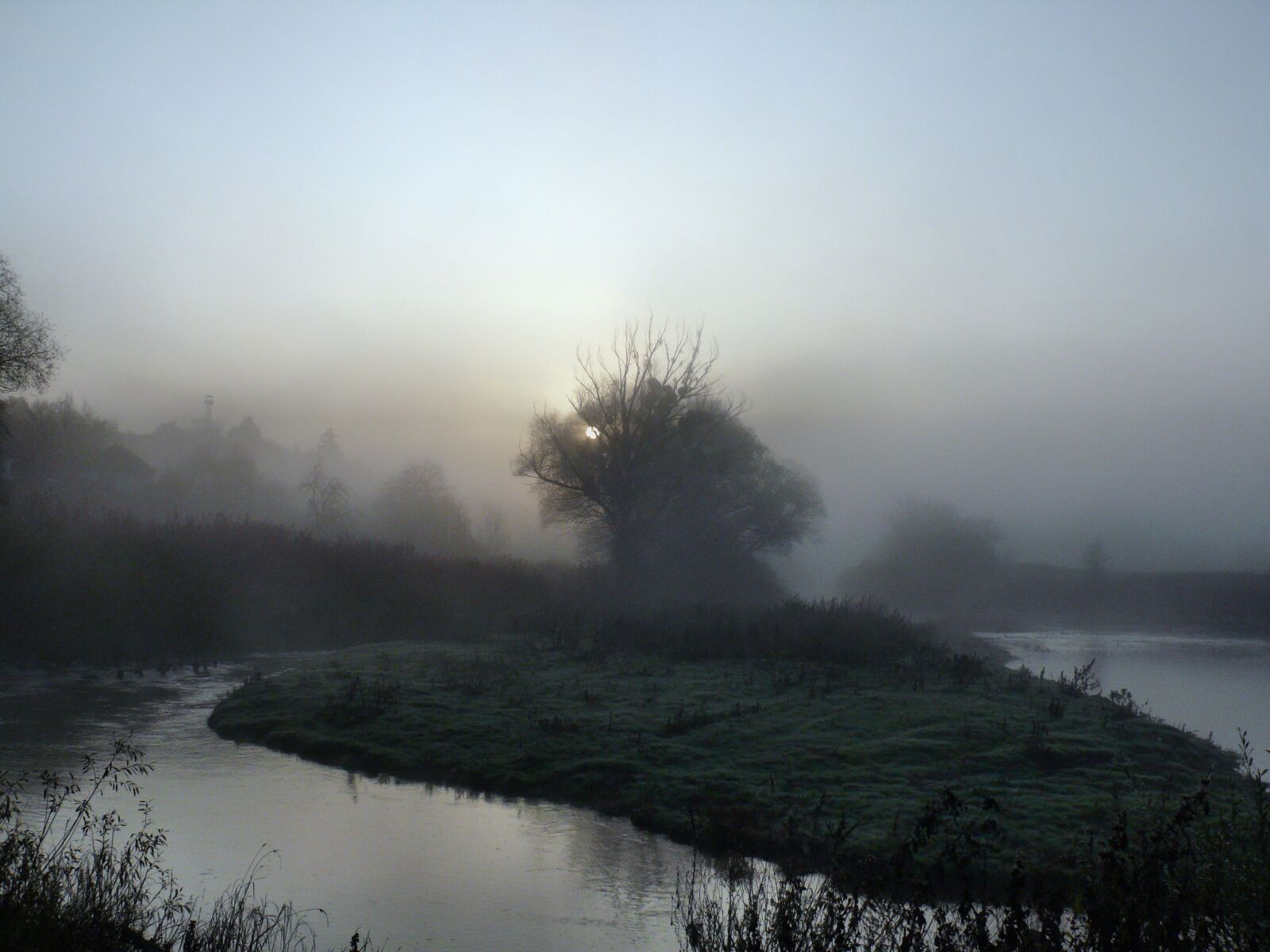 Panasonic DMC-FZ50 sample photo. Fog photography