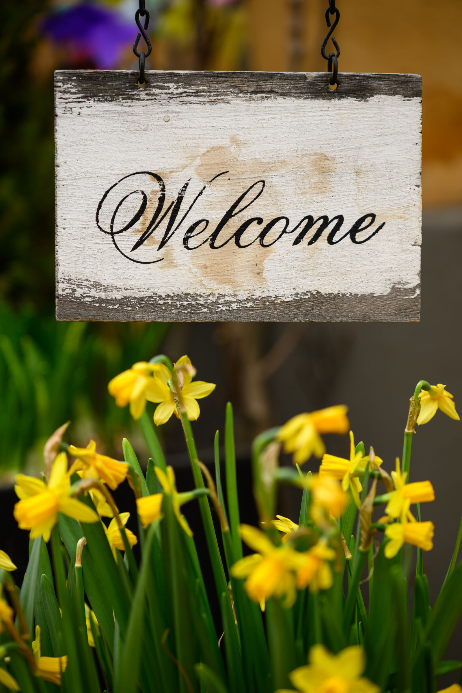 Nikon Z8 sample photo. Welcome spring photography
