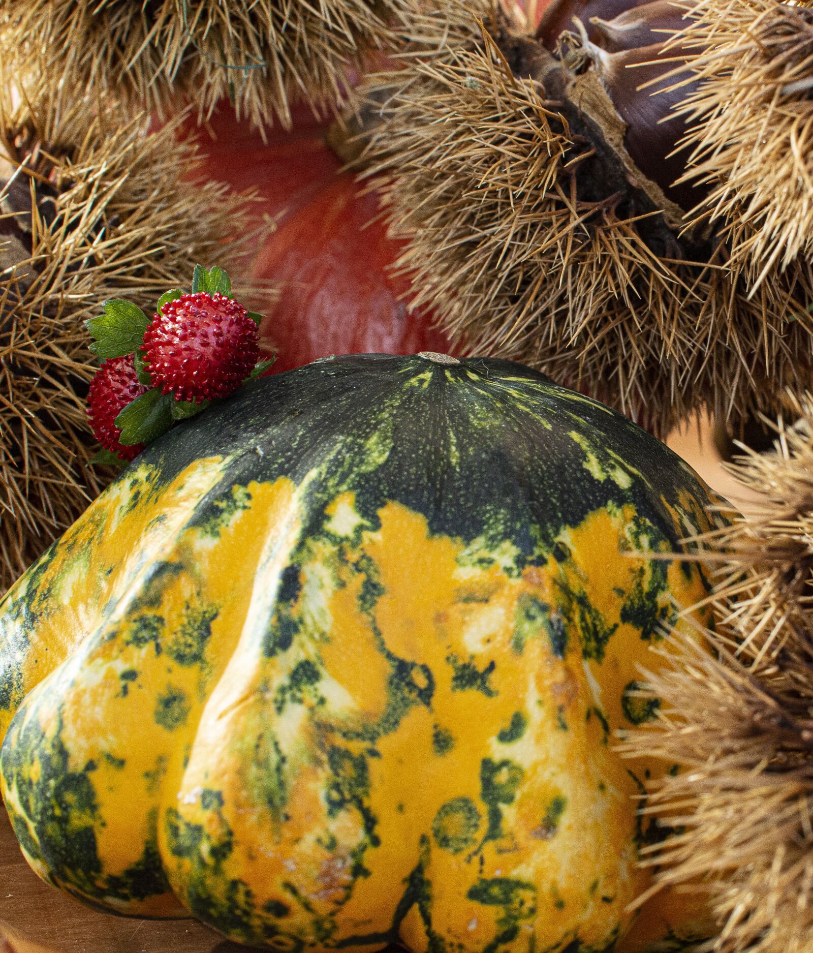 Nikon D3200 sample photo. Autumn, chestnuts, brown photography