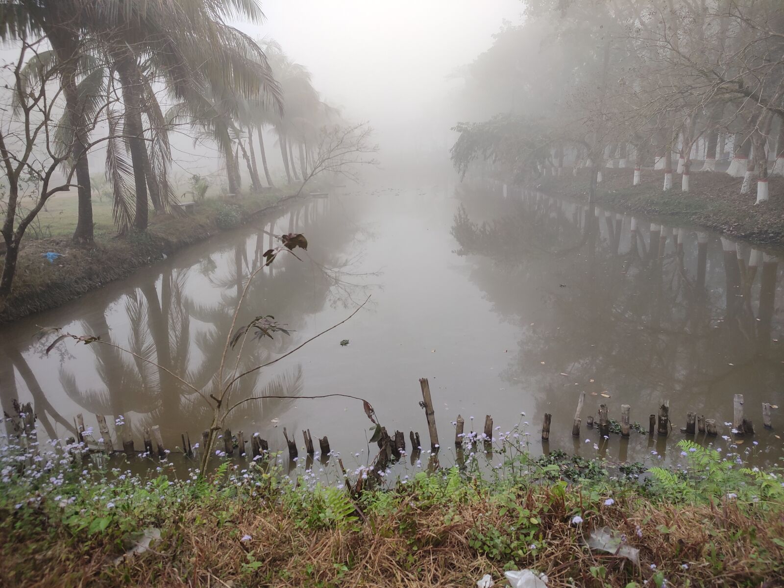 Xiaomi Redmi Note 7 Pro sample photo. Fog, foggy lake, fog photography