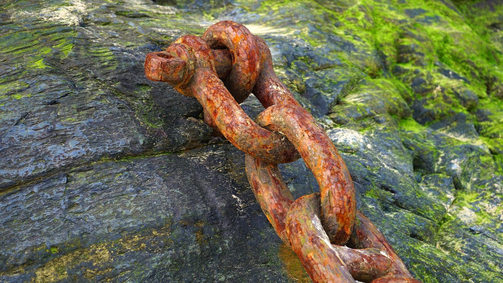 Sony a7 + Sony FE 28-70mm F3.5-5.6 OSS sample photo. Rusty, chain, old photography