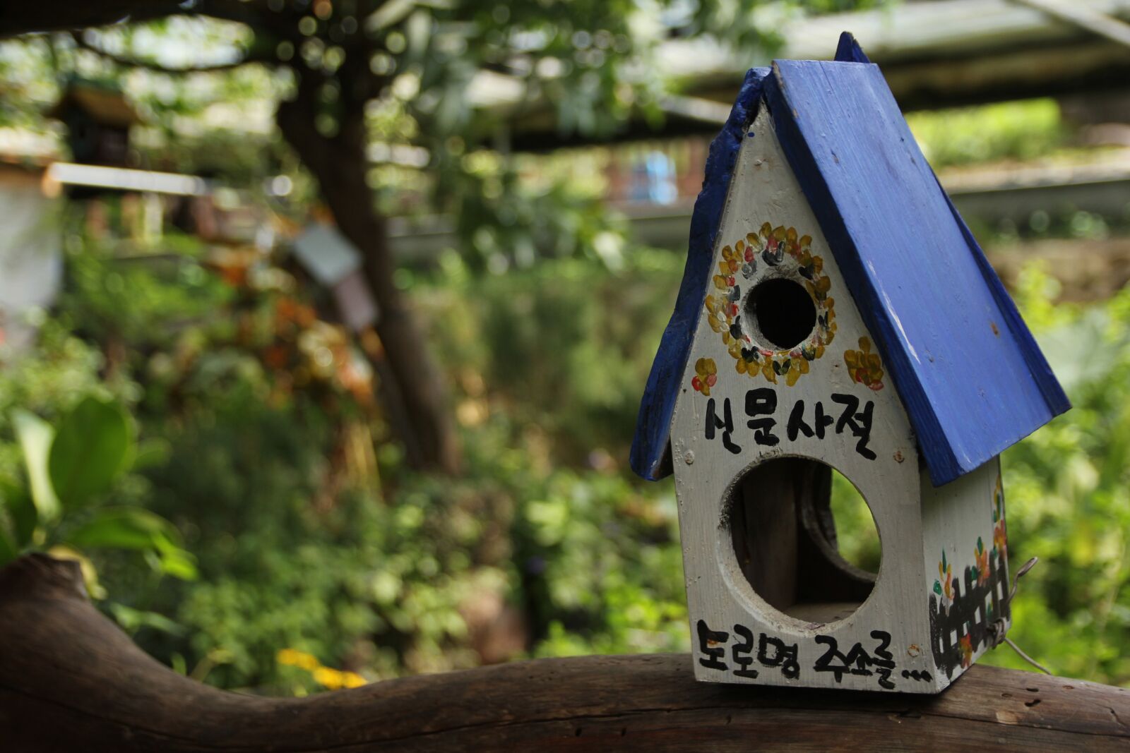 Canon EOS 550D (EOS Rebel T2i / EOS Kiss X4) sample photo. The new house, new photography