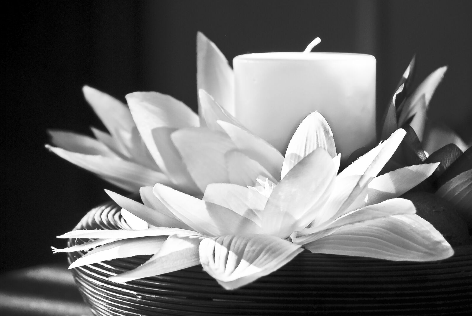 Nikon D200 sample photo. Close, up, of, white photography
