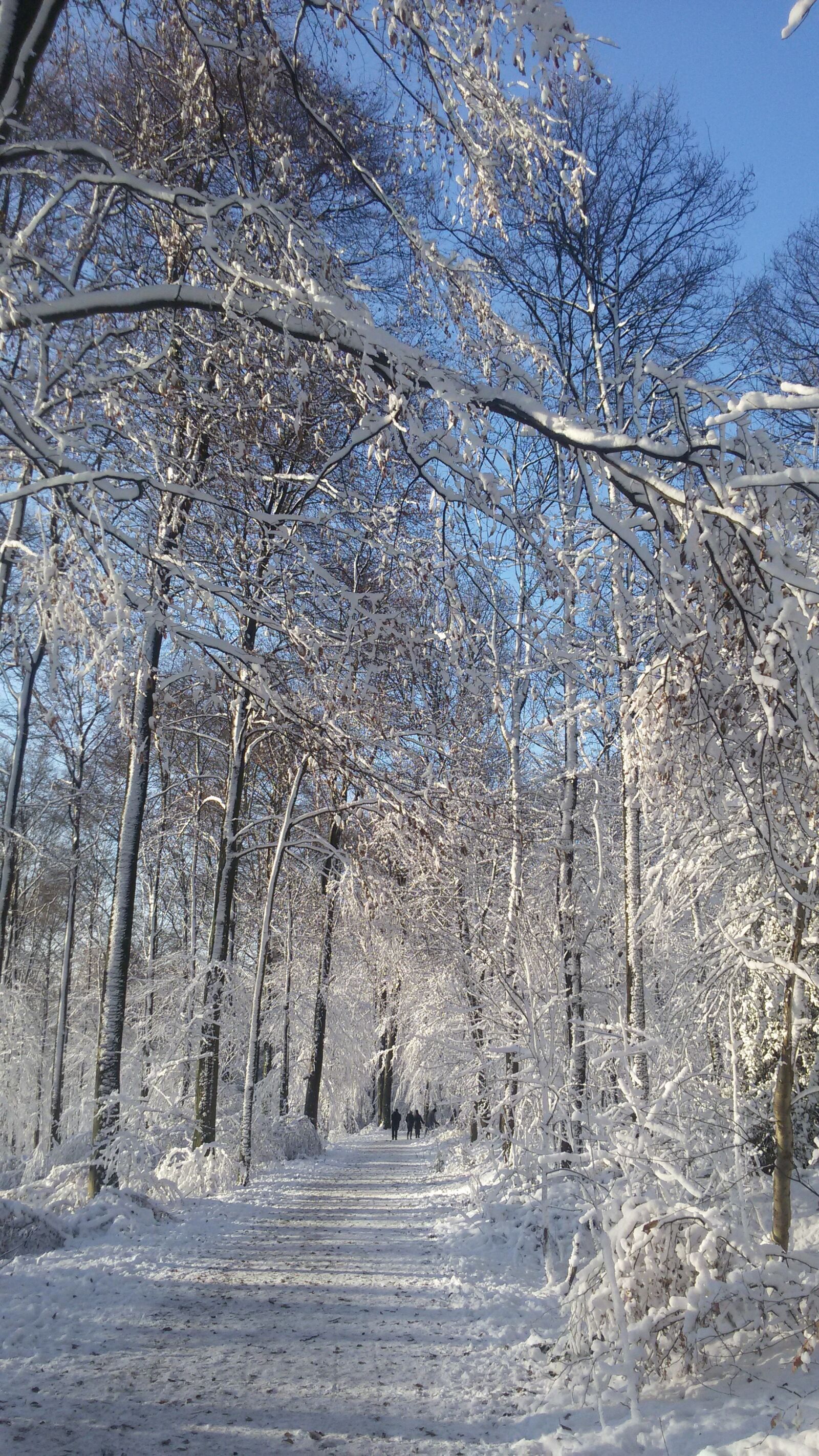 Samsung Galaxy S3 Neo sample photo. Winter, snow, cold photography