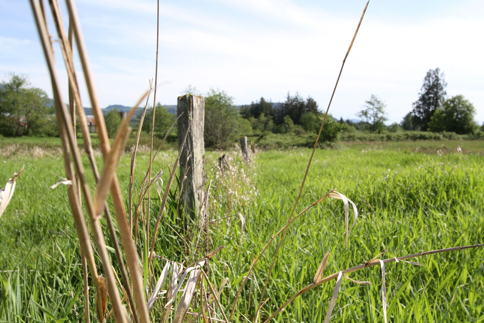 Canon EOS 7D sample photo. Field, fence, farm photography