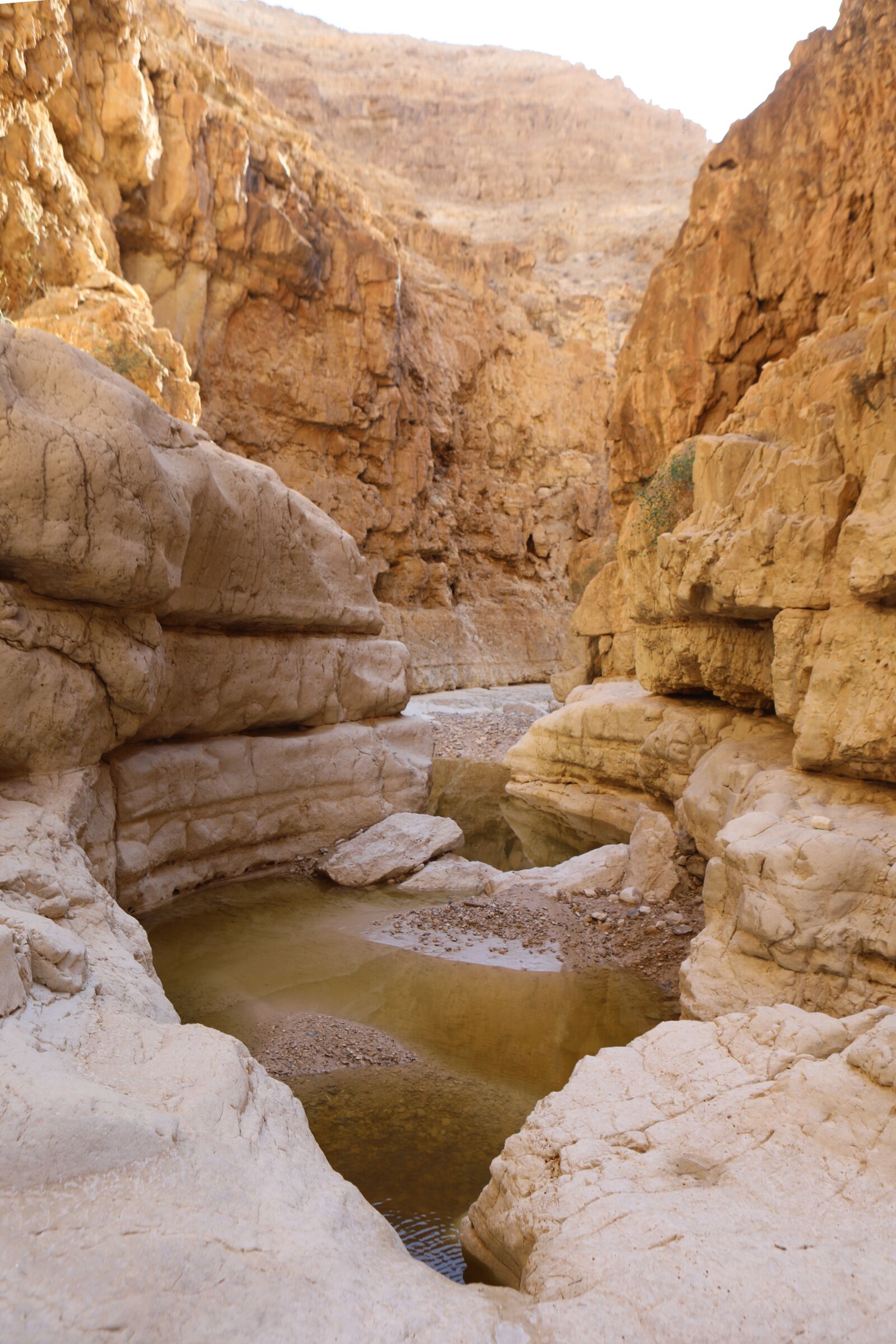 Canon EOS 5D Mark IV sample photo. Stone, desert, landscape photography