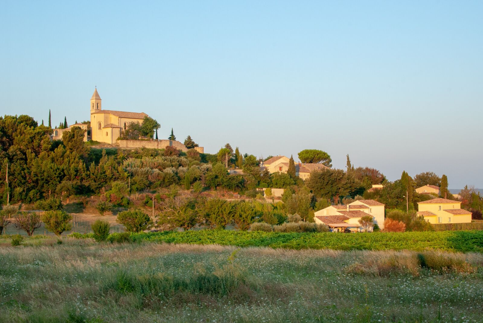 Nikon D80 sample photo. Cairanne, french, vaucluse photography