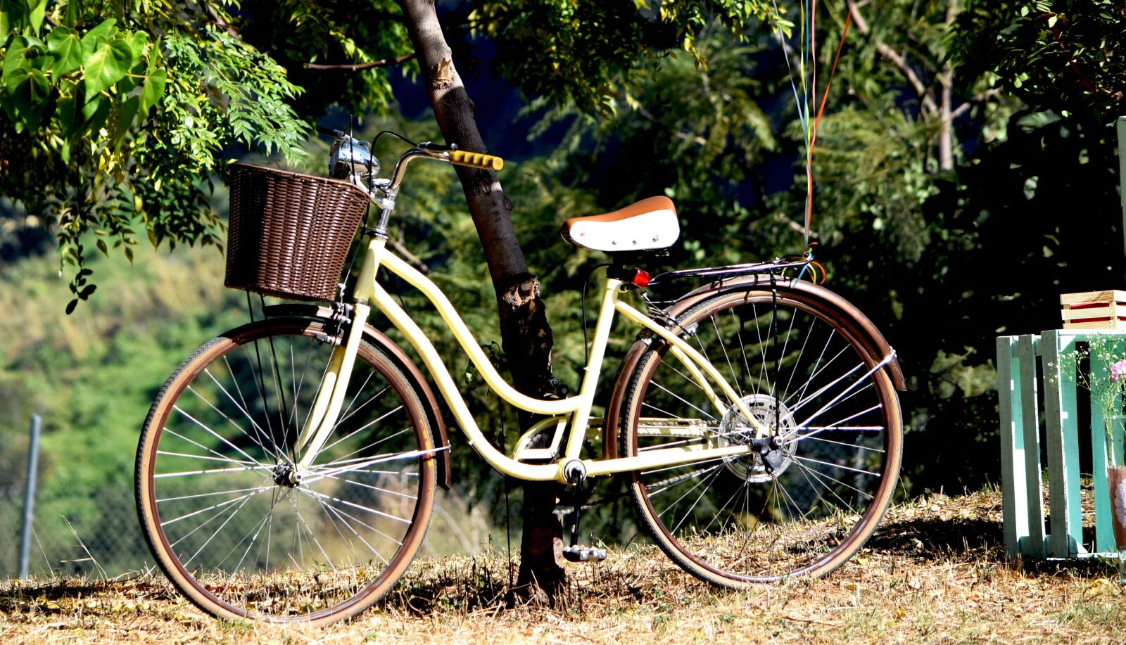 Nikon D3300 sample photo. Bicycle, old, communion photography